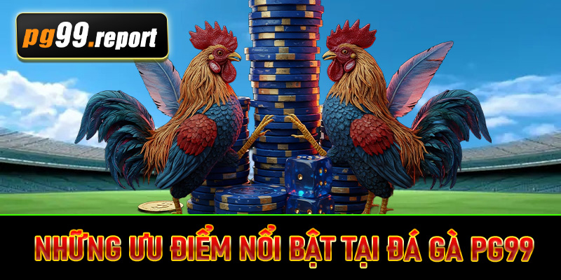 Những ưu điểm nổi bật tại đá gà PG99