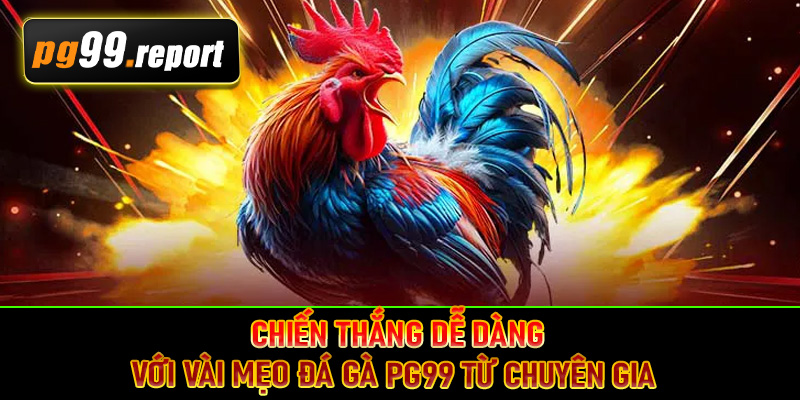 Chiến thắng dễ dàng với vài mẹo đá gà PG99 từ chuyên gia